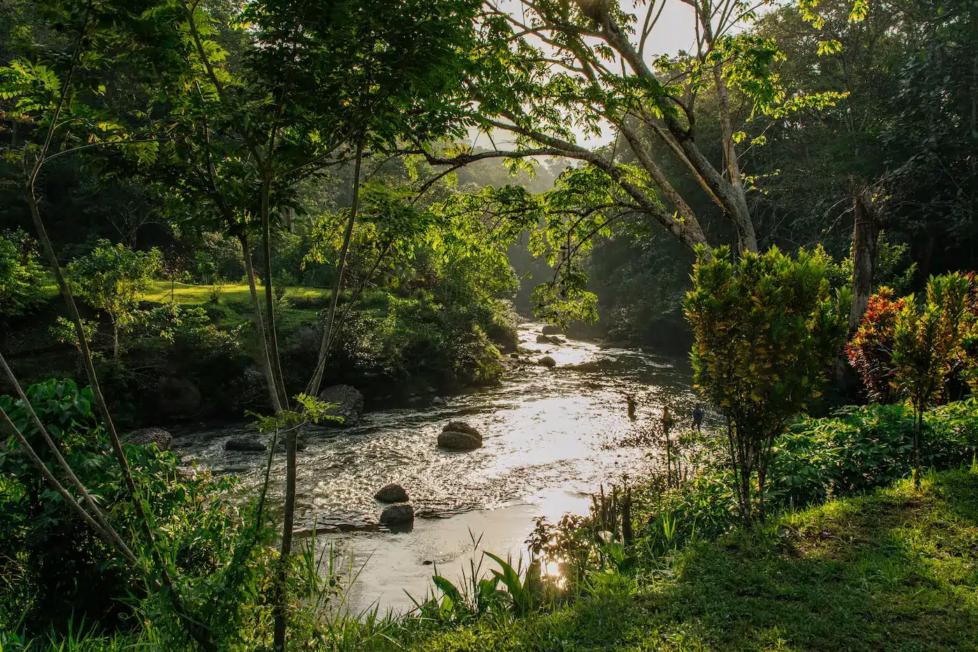 Walk Kokoda Day 2